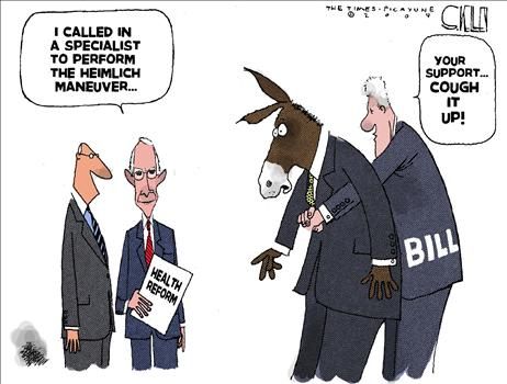 steve kelley