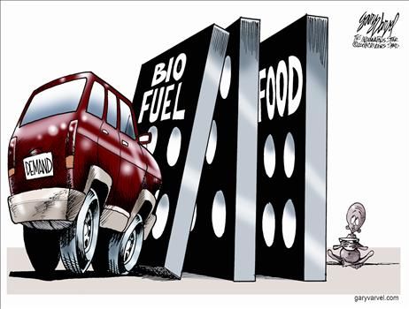 gary varvel