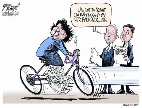 gary varvel