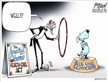 gary varvel