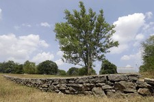  - 
              This Monday, July 9, 2012 photo shows a stone wall built during the slavery era in Lebanon, Tenn. The land was once part of a plantation where Jordan Anderson was a slave to Col. Patric