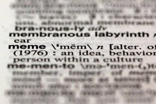  - 
              The word meme, from the 11th edition of Merriam-Webster's Collegiate Dictionary, is shown in this photograph, in New York,  Wednesday, Dec. 5, 2012.  Thanks to the election, socialism a