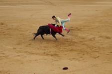  - 
              Spanish bullfighter David Galan is tossed by a Jose Escolar's ranch fighting bull during a bullfight of the San Isidro fair at Las Ventas bullring in Madrid, Monday, May 13, 2013. For a