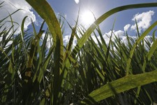 Ross Perot's Lessons for Today