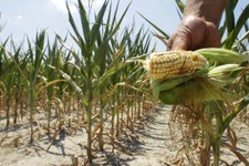 Why Now is the Right Time to Talk About Ethanol