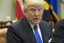 The New Dictionary For The Trump Years