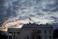 Has This Good Girl Gone Bad?