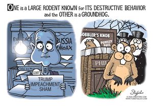 Cartoon