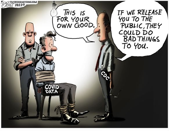Political Cartoons by Pat Cross