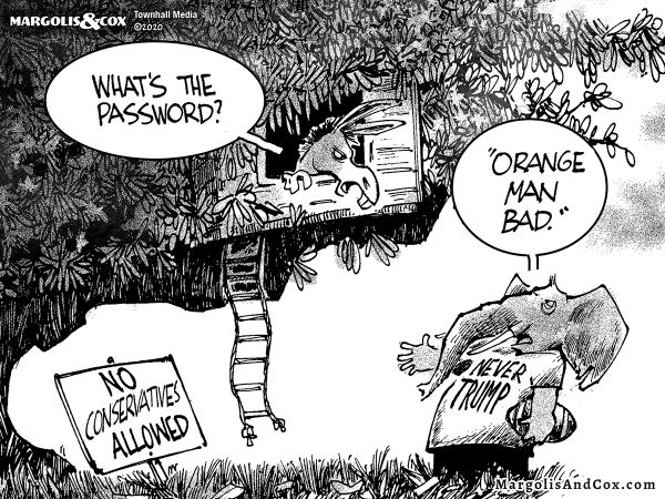 Political Cartoons by Margolis & Cox