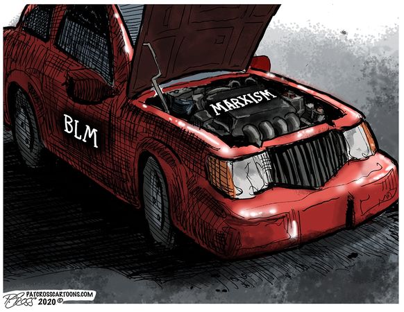 Political Cartoons by Pat Cross