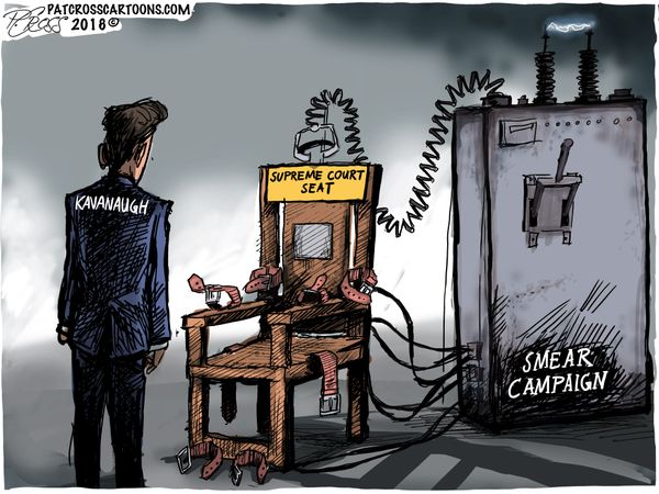 Political Cartoons by Pat Cross 