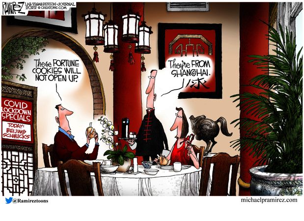 Political Cartoons by Michael Ramirez