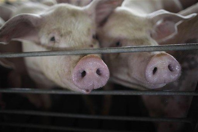 How a Case Before the Supreme Court Could Raise the Cost of Bacon