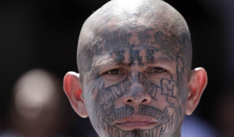 White House Email Blast: Here's What You Need to Know About MS-13 Animals 