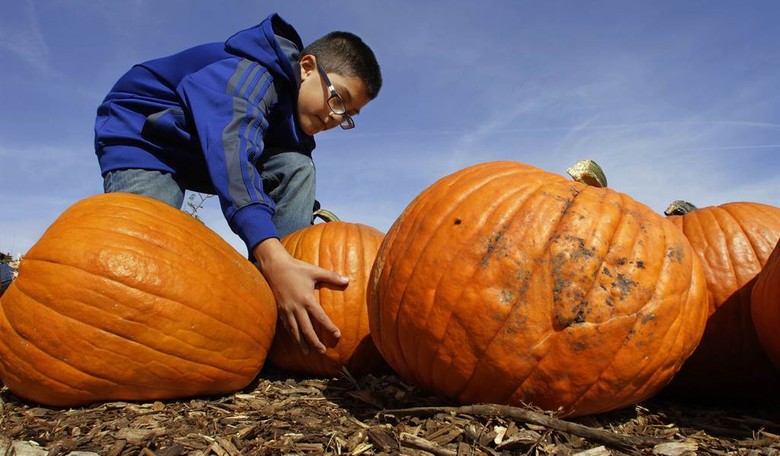 Government Tries to Kill Holidays, While Its Regulations Kill People