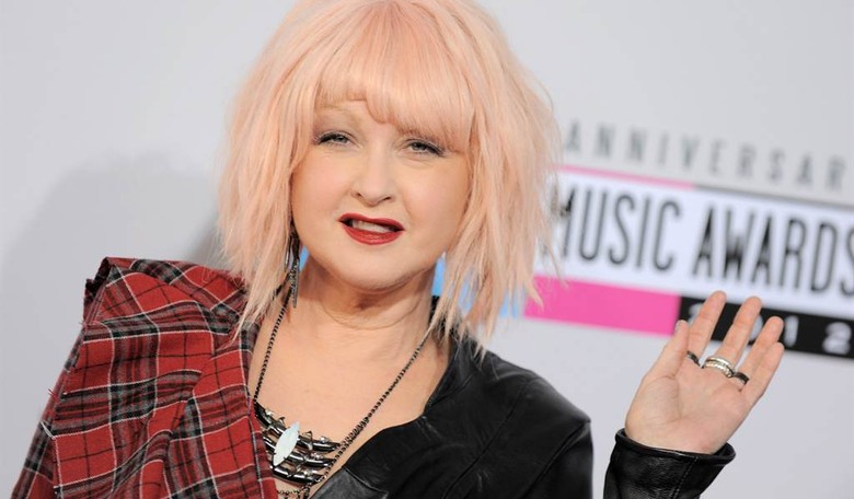 Cyndi Lauper Pens Op-Ed Blasting Hobby Lobby Decision 