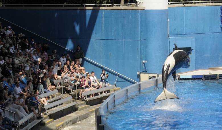 SeaWorld to Cut Hours to Avoid Obamacare Mandate