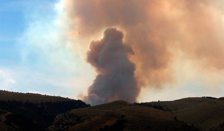 Government Fiddles, Our Nation’s Forests Burn