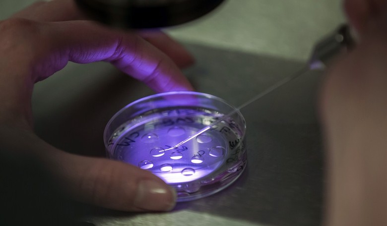 127 Babies Conceived Via Government-Funded IVF Aborted By Government Funded Abortions in the UK