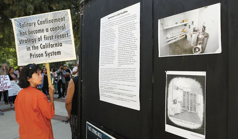 Solitary Confinement and Its Costs