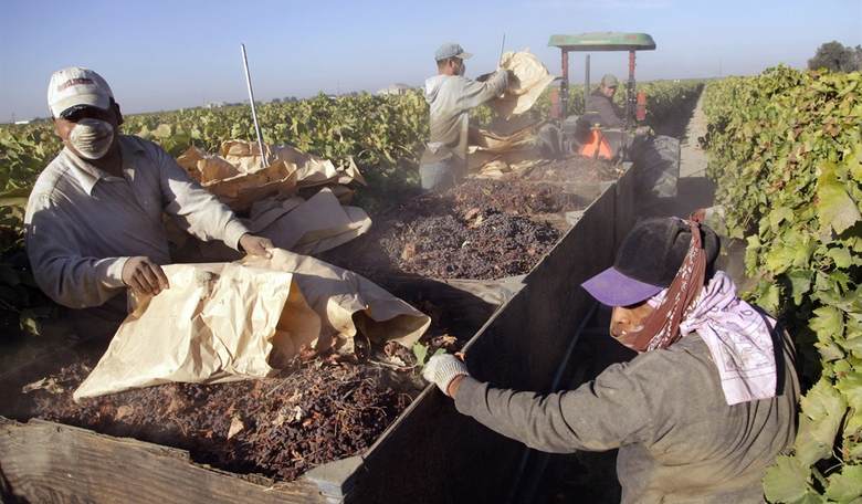 Raisin Hell