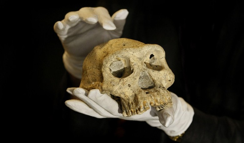 Poll: One-Third Don’t Believe in Evolution