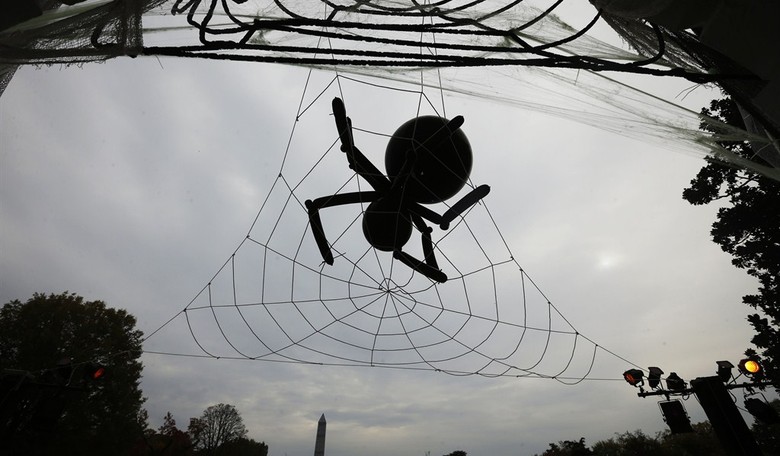 Halloween Political Humor