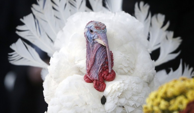 Thanksgiving 2015 - Rainbow Shiny
