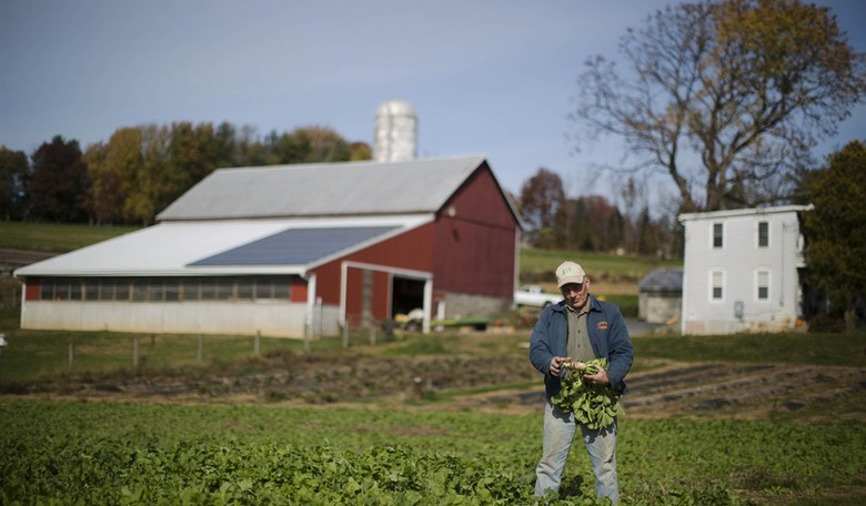 Farm Subsidies Can Affect Your Health
