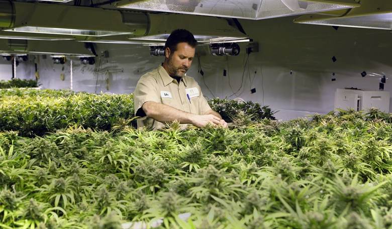 Sad Face: Bill Could Make it Harder For Coloradans to Purchase Legal Marijuana...With Food Stamps