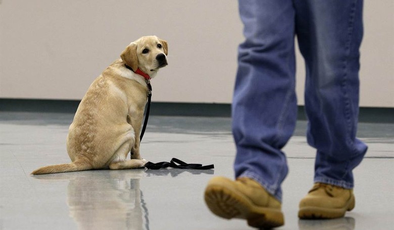 While Wounded Soldiers Wait, Bureaucrats Rake in Bonuses