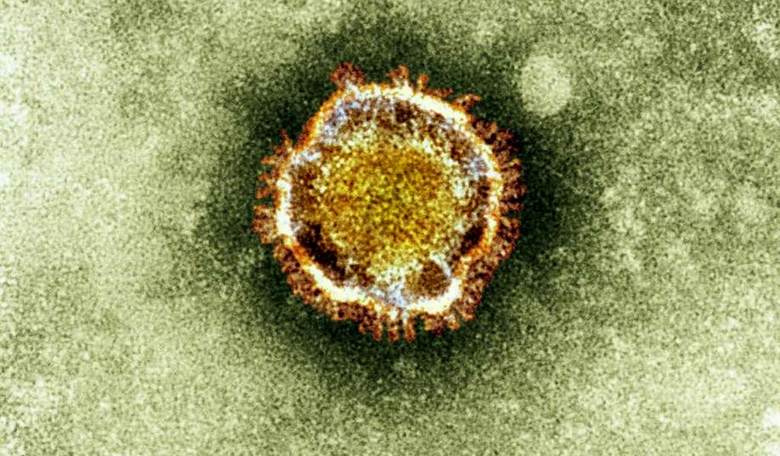 How to Prevent Candidates from Spreading the Common Cold