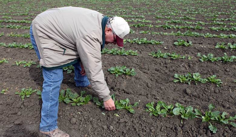Fallacious Claims Prop Up Ethanol 