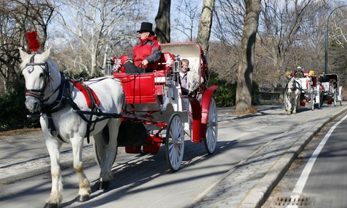 Let Us Sit Upon the Ground and Sing Sad Songs of the Death of Horse-Drawn Carriages in Central Park 
