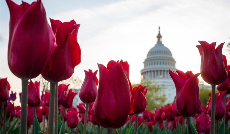 This Year, a Mother's Day Marked by Love – and Loss
