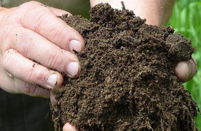 Delaware Joins Seven Other States, Allows Human Composting As ...