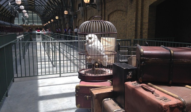 HBO Confirms 'Harry Potter' Show Casting That Has Some Fans Crying 'Riddikulus'