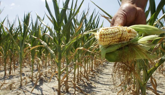 An Iowa Farmer's Response to Chuck Norris