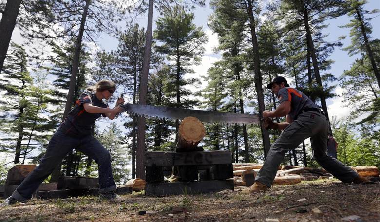 Whipsaw Risk: The New Corporate Fright Scenario