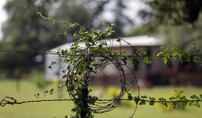 A Magical Tale of a Boy, a Bible and a Gun in Texas