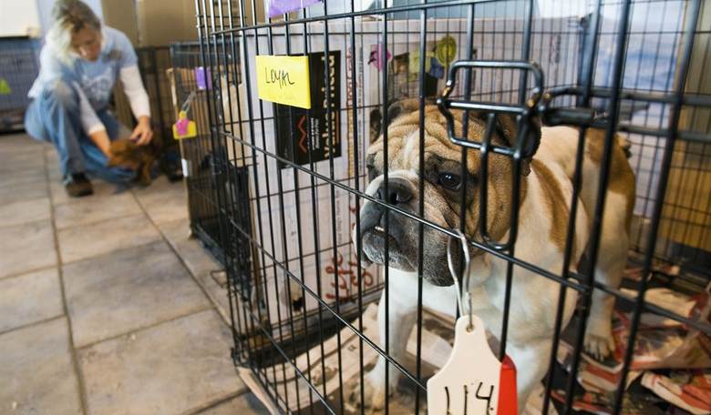 Upholding Local Autonomy and Protecting Our Furry Friends: Why Indiana Must Reject HB 1412