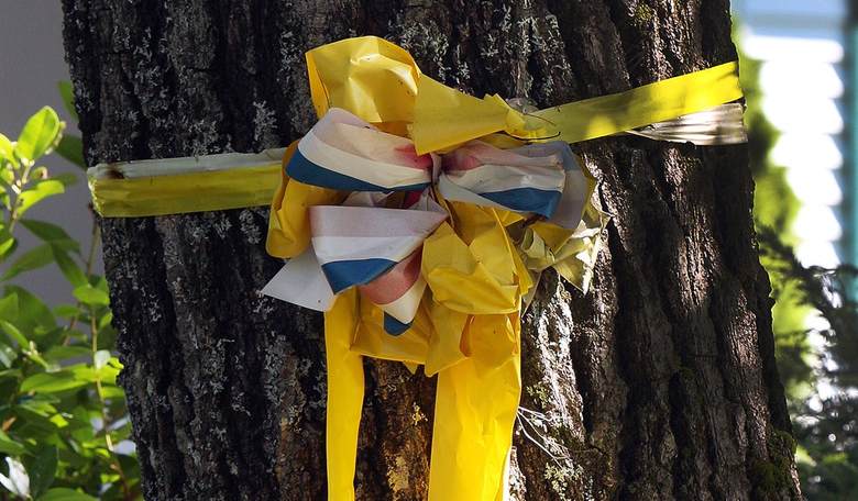 Moore to the Point - Tie a Yellow Ribbon 