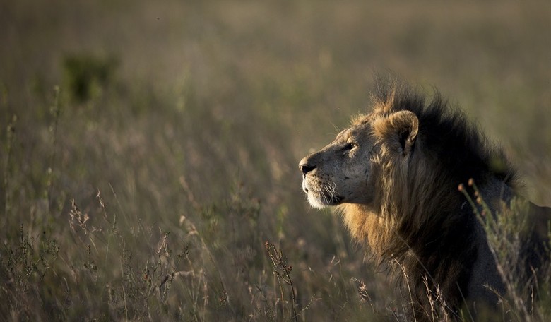 The Peril of Power