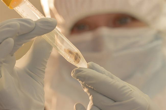 A Perfect Encapsulation of Why Nobody Trusts the Establishment Anymore