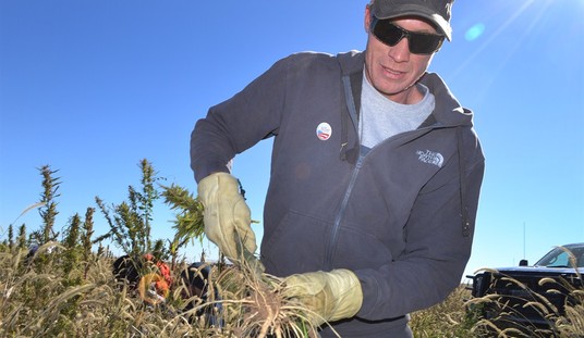 Fewer Jobs, Shrinking Workforce Expose a Disturbing Trend