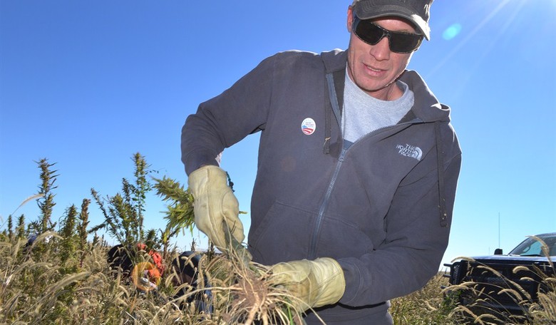 Fewer Jobs, Shrinking Workforce Expose a Disturbing Trend