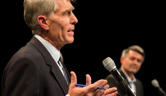 Democrats Panic as 2014 Proves A Woman Cares About More than Just Her Uterus