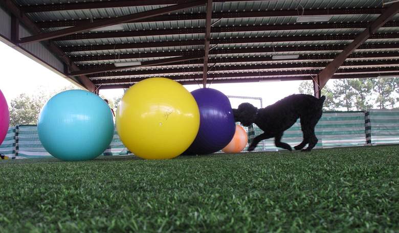 Weekend Parting Shot: Death by Bouncy Ball