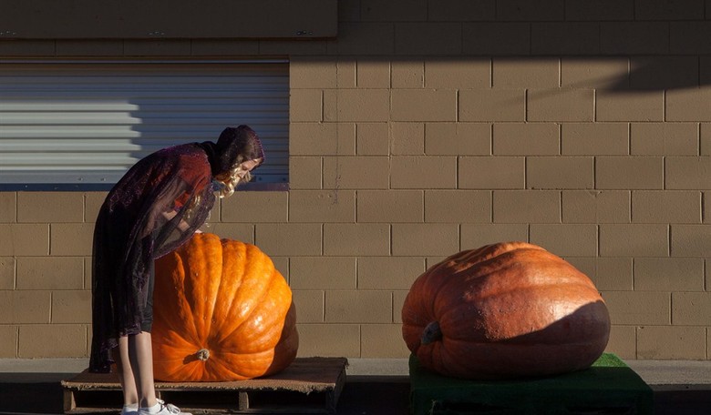 5 Political Halloween Costume Ideas